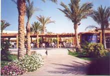 Palm Beach Resort(ex.Palm Beach Eurotel)