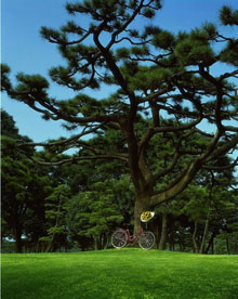 Four Seasons Hotel Tokyo at Marunouchi