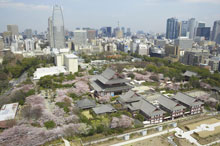 The Prince Park Tower Tokyo