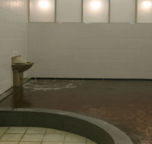 The Prince Park Tower Tokyo