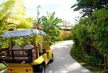 Chandara Resort & SPA