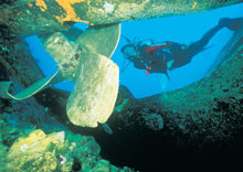 Vatulele Island Resort