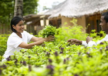 The Naka Island Phuket (ex. Six Senses Sanctuary Phuket)