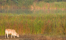 AKA Resort Guti Hua Hin