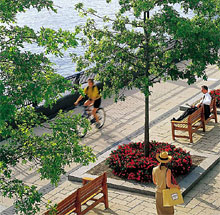 Four Seasons Canary Wharf