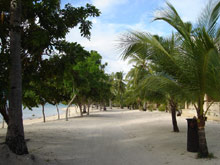 Dos Palmas Arreceffi Island Resort