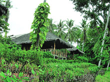 Coral Bay Resort & Spa