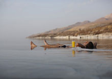 Ma'in Hot Springs Resort & Spa(ex. Evason Ma'In Hot Springs & Six Senses Spa (Madaba)) 5*