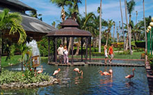 Iberostar Punta Cana