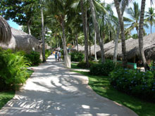Viva Wyndham Dominicus Palace
