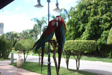 Excellence Punta Cana