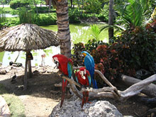 Excellence Punta Cana