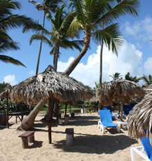 Excellence Punta Cana