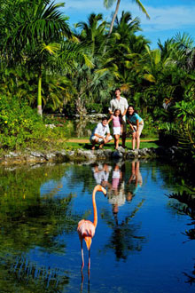 Melia Caribe Tropical All Inclusive Beach & Golf Resort(ex.Melia Caribe Tropical)