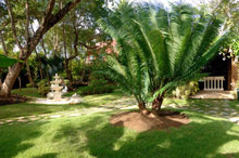 Tropical Princess Beach Resort & SPA