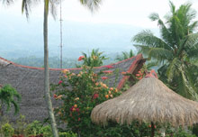 Badian Island Resort & Spa