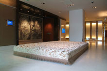 InterContinental Geneve