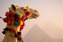 InterContinental Cairo Semiramis