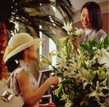 Four Seasons Hotel Shanghai