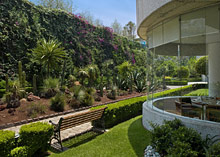 Sheraton Suites Santa Fe Mexico City