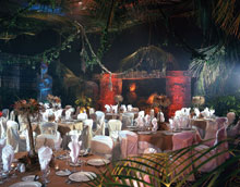 Fiesta Americana Coral Beach