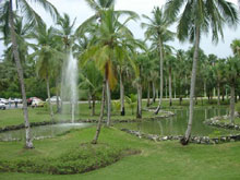 Grand Paradise Bavaro Resort