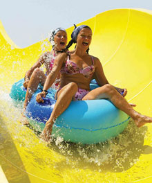 MG White Lilyum(ex.Novia White Lilyum)