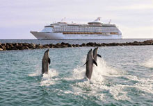 Adventure of the Seas