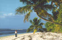 Alphonse Island Resort