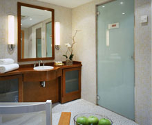 Palais de la Mediterranee