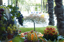 Hotel Terme Metropole