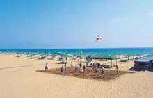 Paloma Oceana Resort.(ex.Paloma Beach Resort )