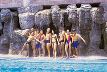 Papillon Zeugma Relaxury