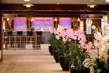 Independence of the Seas