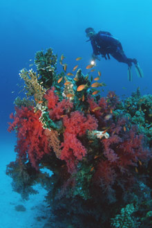 Kempinski Hotel Soma Bay