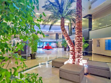 Bellis Deluxe Hotel(ex.Iberostar Bellis Hotel)