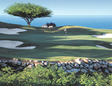 Ritz Carlton Golf & SPA Resort, Rose Hall