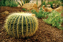 L' Ea Bianca Luxury Resort