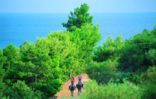 ATAHOTEL Tanka Village Resort