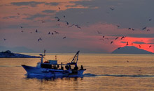 Remisens Hotel Albatros(ex.Iberostar Albatros)