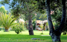 Garden Beach Cala Sinzias