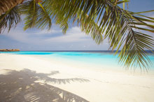 Lily Beach Resort & Spa At Huvahendhoo