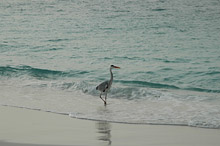 Per Aquum Huvafen Fushi Maldives(ex.Huvafen Fushi)