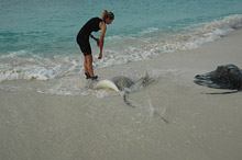 Per Aquum Huvafen Fushi Maldives(ex.Huvafen Fushi)