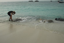 Per Aquum Huvafen Fushi Maldives(ex.Huvafen Fushi)