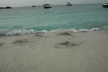 Per Aquum Huvafen Fushi Maldives(ex.Huvafen Fushi)