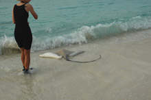 Per Aquum Huvafen Fushi Maldives(ex.Huvafen Fushi)