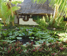 Thulhagiri Island Resort and Spa