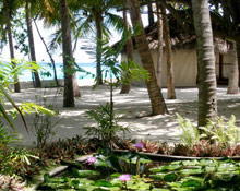 Thulhagiri Island Resort and Spa