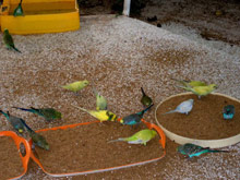 Thulhagiri Island Resort and Spa